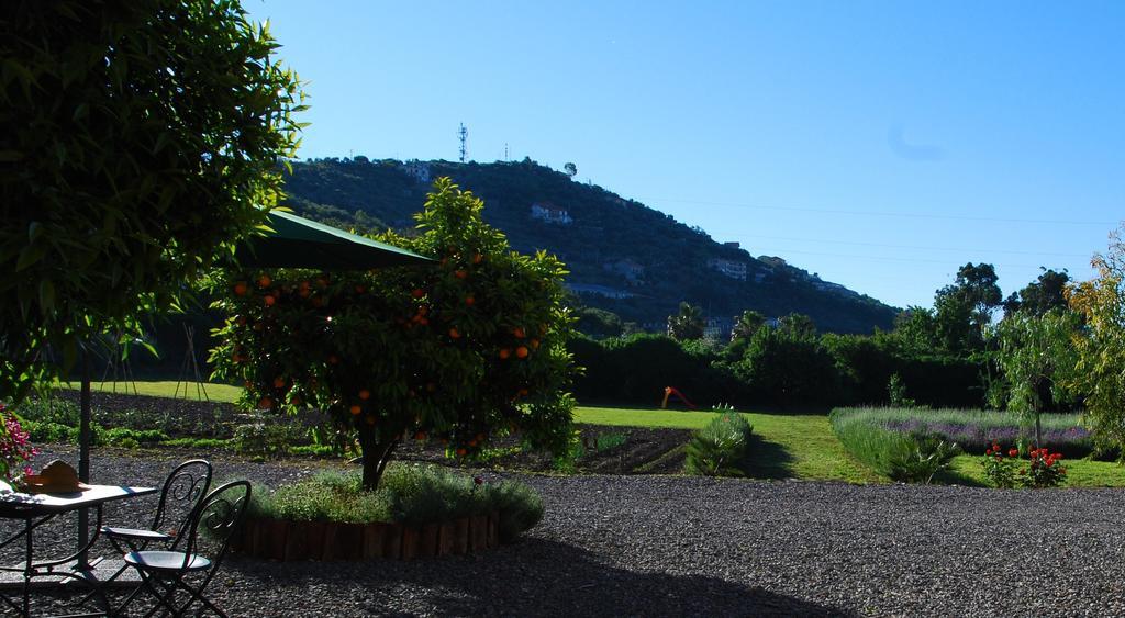 Agriturismo Coppi Rossi Villa Torrazza  Exterior photo